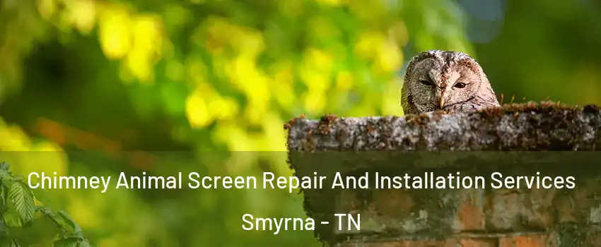  Chimney Animal Screen Repair And Installation Services Smyrna - TN