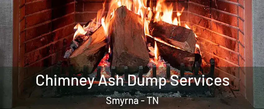  Chimney Ash Dump Services Smyrna - TN