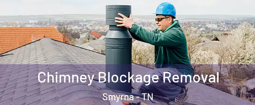  Chimney Blockage Removal Smyrna - TN