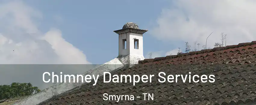  Chimney Damper Services Smyrna - TN