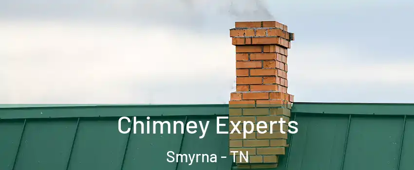 Chimney Experts Smyrna - TN