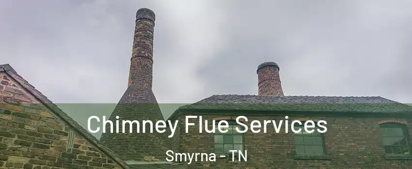  Chimney Flue Services Smyrna - TN