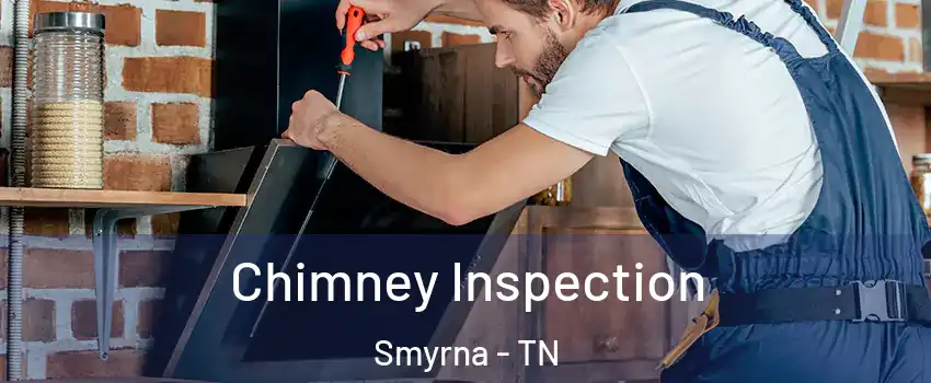  Chimney Inspection Smyrna - TN