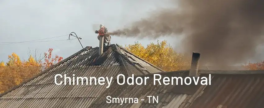  Chimney Odor Removal Smyrna - TN