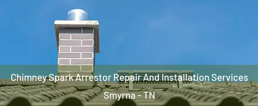  Chimney Spark Arrestor Repair And Installation Services Smyrna - TN