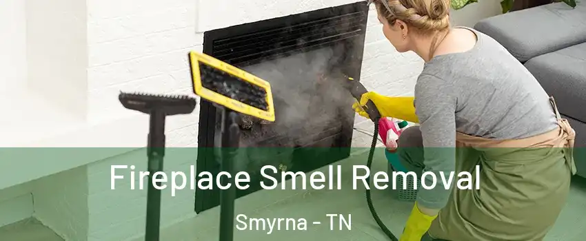  Fireplace Smell Removal Smyrna - TN