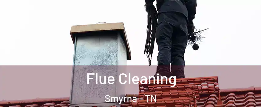  Flue Cleaning Smyrna - TN