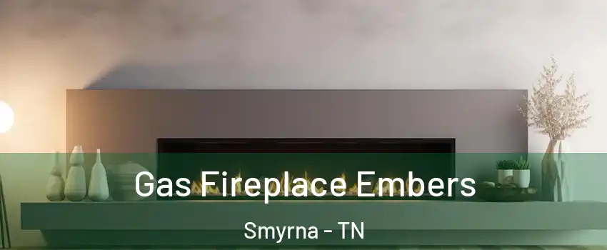  Gas Fireplace Embers Smyrna - TN