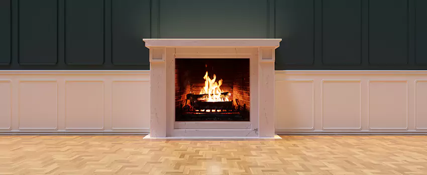 Napoleon Electric Fireplaces Inspection Service in Smyrna, Tennessee