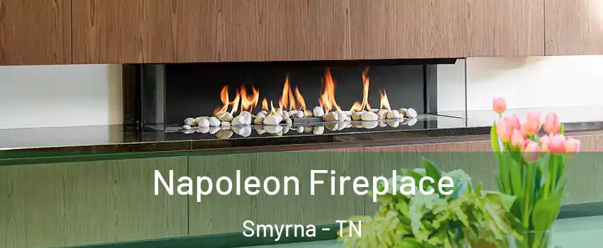  Napoleon Fireplace Smyrna - TN